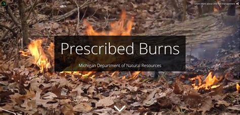See the below links for policy and forms Prescribed Fire Policy Prescribed Burn Plan template Prescribed Burning Agreement Prescribed Burn Checklist. . Dnr prescribed burn map